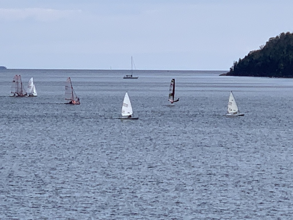Sailing in the Northwest Arm (5 min walk)