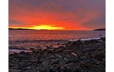 Sunrise at Point Pleasant Park (15 min walk)
