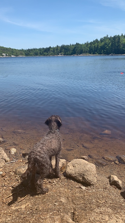 Cooling off after a hike with a swim at nearby Long Lake (15 min drive)