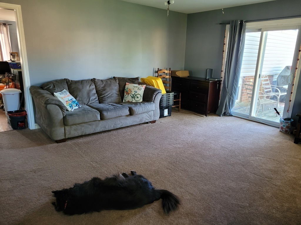 Living room through kitchen