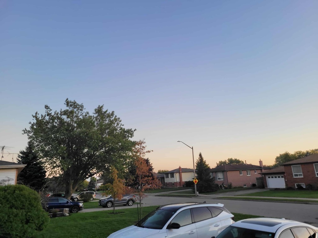 Family homes on our street. Nice wide streets