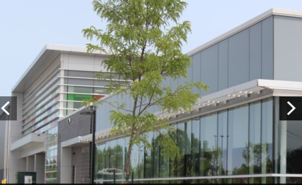 Arena at end of our street