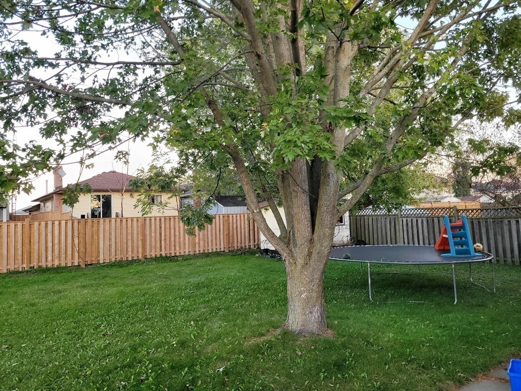 Trampoline and chairs to sit out back. Shade under tree