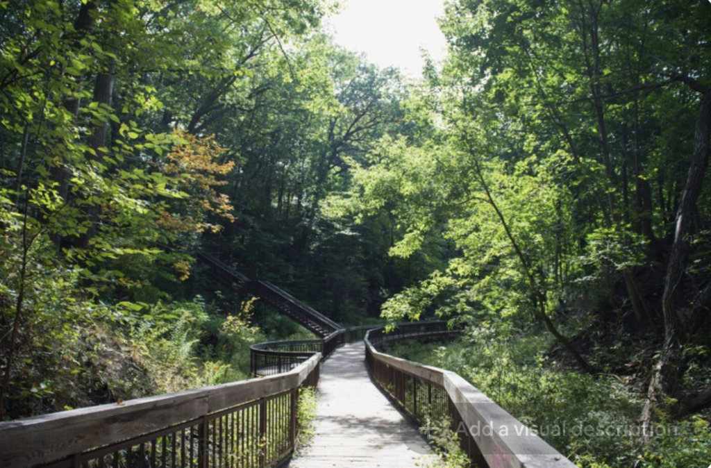 Ravine walk down to the lake waterfront.  