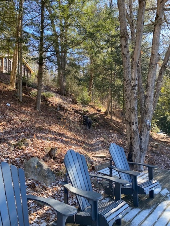 Waterfront deck! Perfect for evening cocktails and watching the wildlife. 
