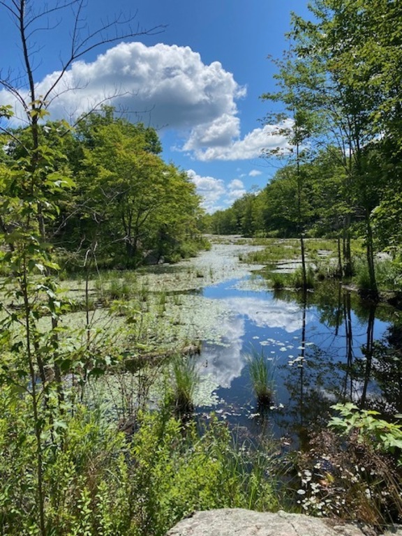Lots of hiking trails close by.