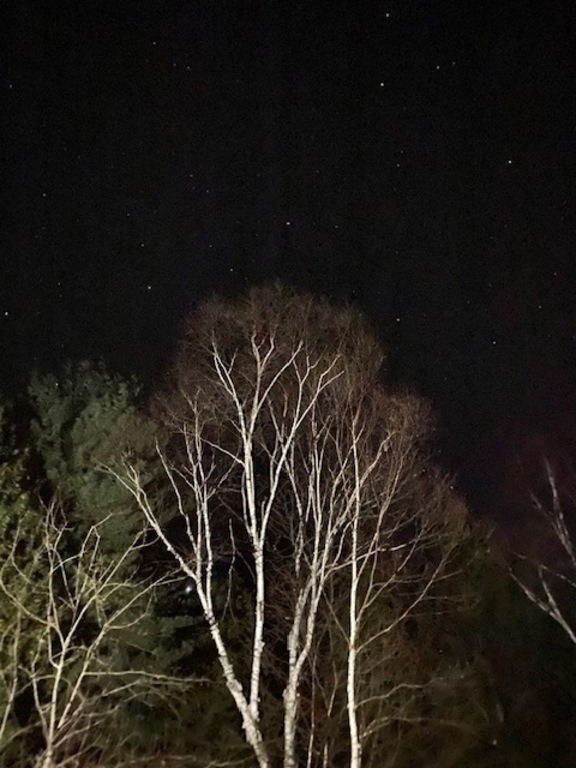 Firepit with seating for nigh time bonfires. 