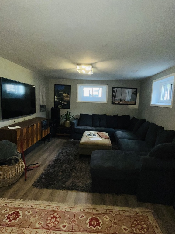 Rec room Sectional sofa with pullout bed