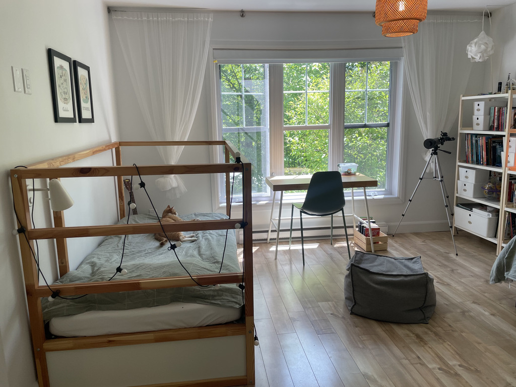Bedroom 2 (single bed for a child)