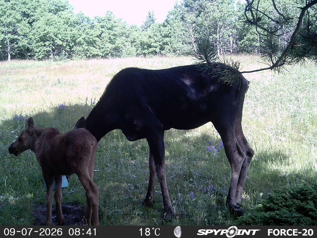 On the property