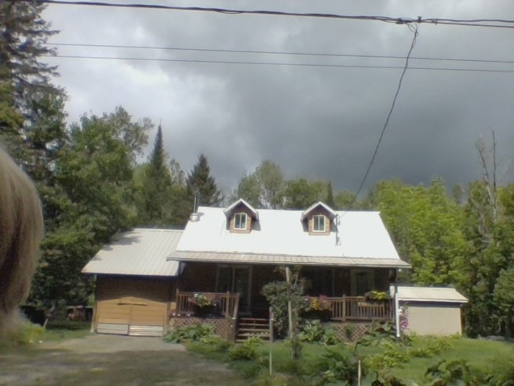 Maison reconnue pour les amoureux de la nature - chevreuils.