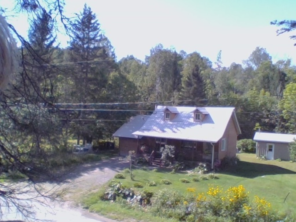 Vue d'ensemble d'une petite maison canadienne et de terrain, paisible et enchanteur.