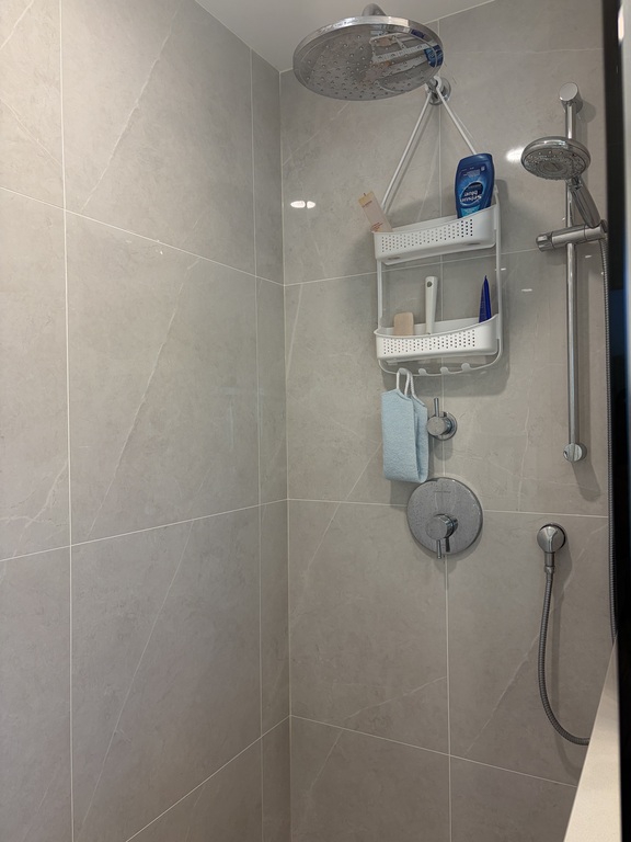 Lower bathroom shower