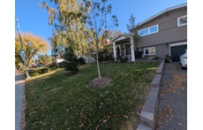 Front view of house