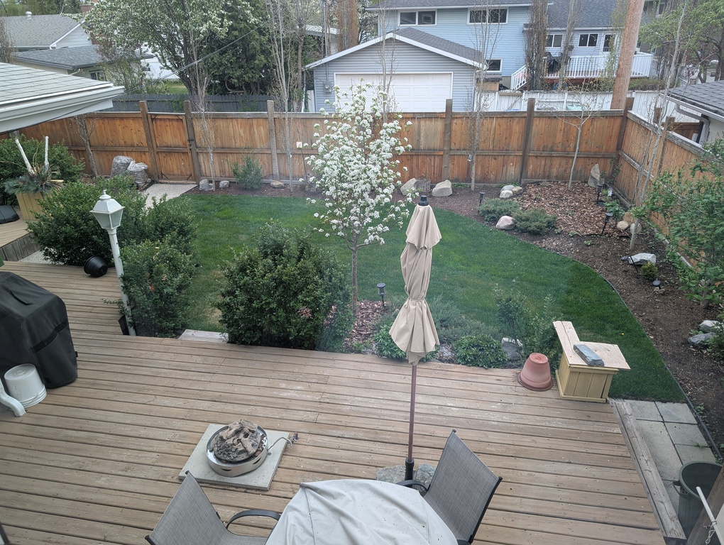 backyard, fenced