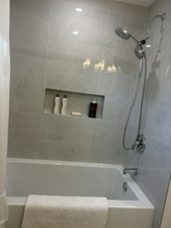 Main bathroom bathtub