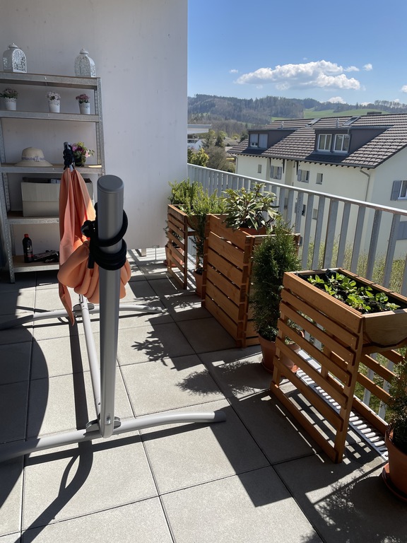 Terrace with hammock