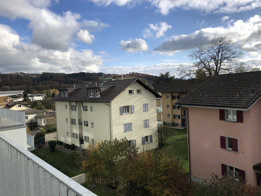 View from the terrace