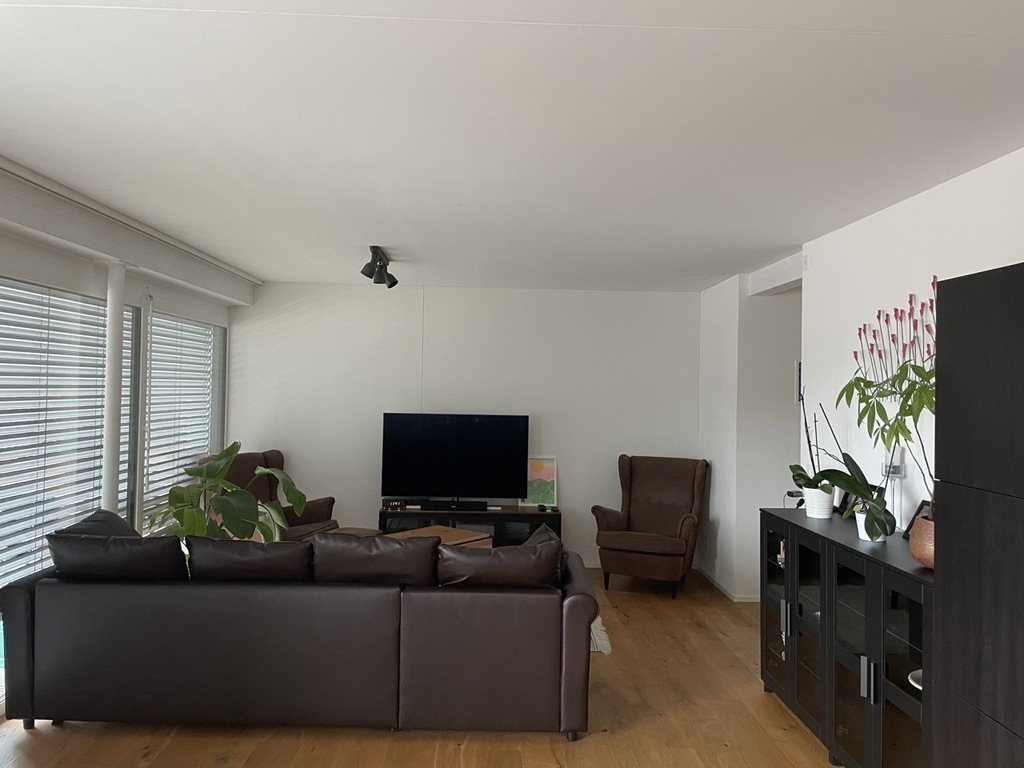 Studio with sofa bed