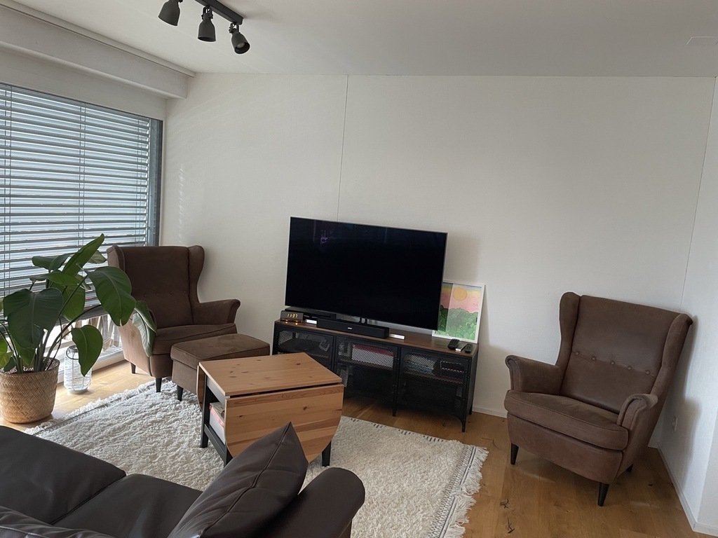 Studio with sofa bed