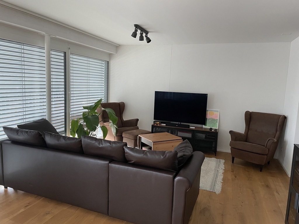 Studio with sofa bed