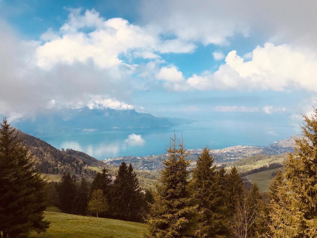 Vue sur le lac Léman depuis les hauts de Montreux à trente minutes 