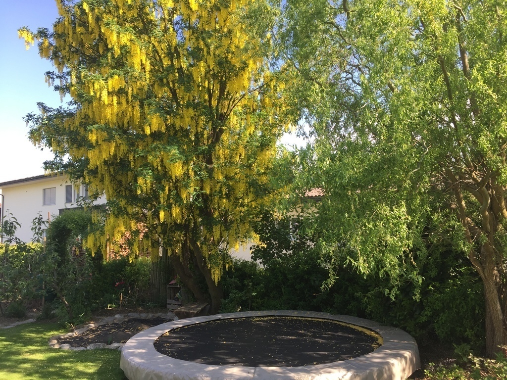Trampolin mit Sandkasten
