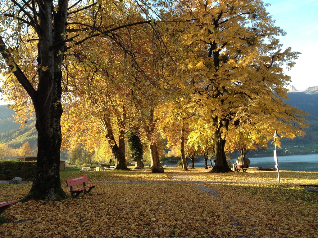 outumn at walensee