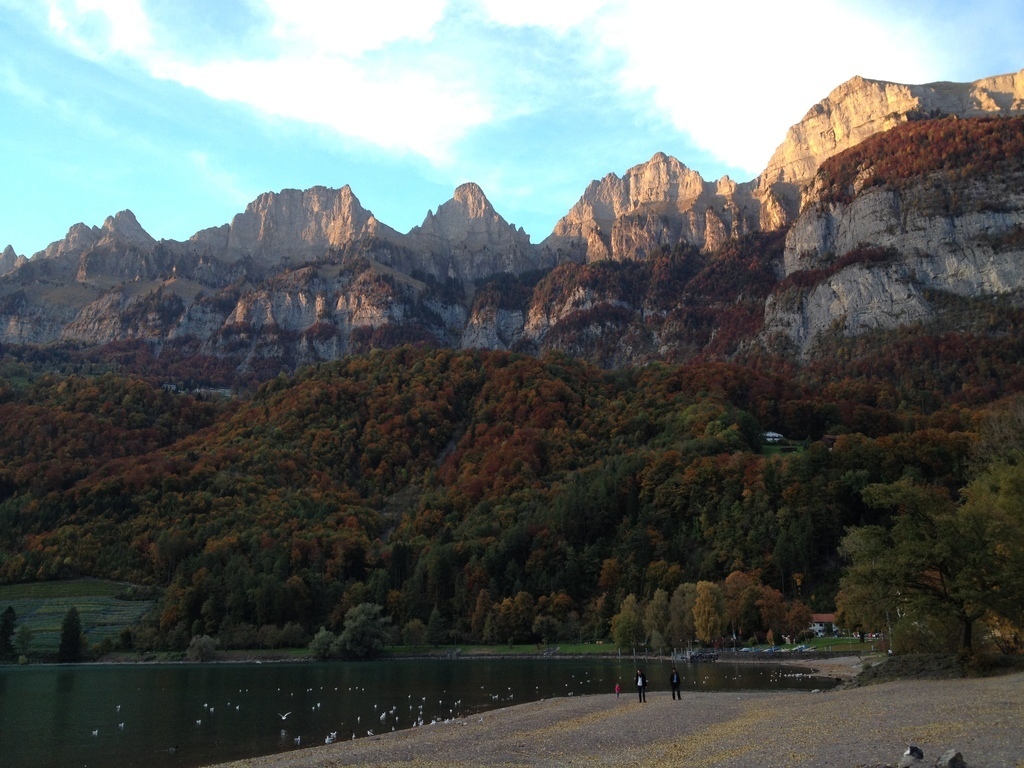 the mountains (view from garden or lake)