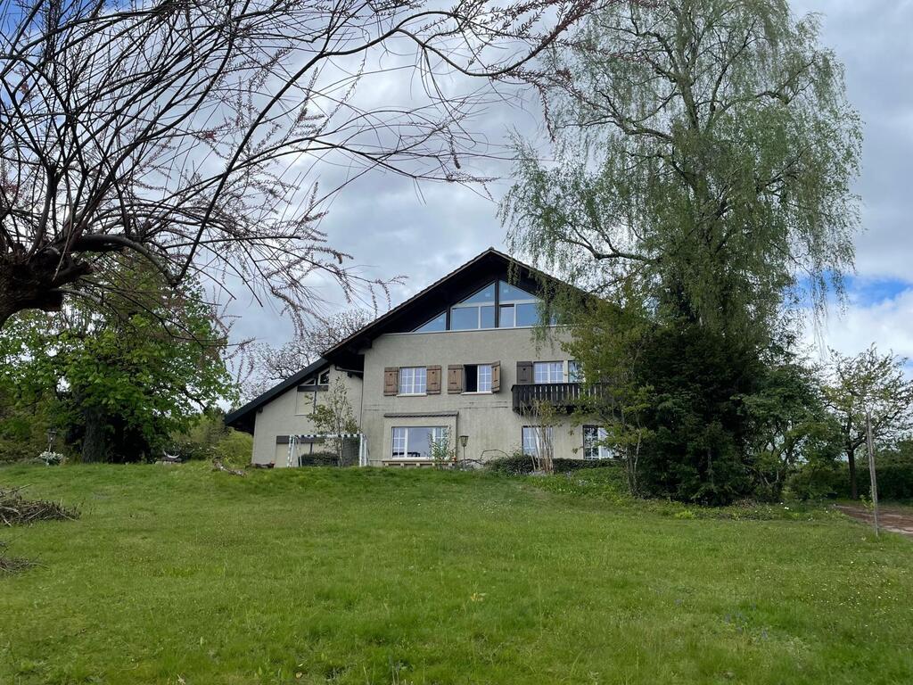 House after renovation