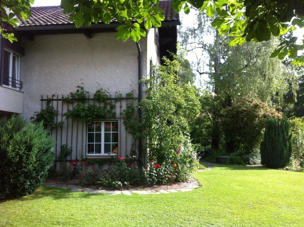 Set in a tranquil garden