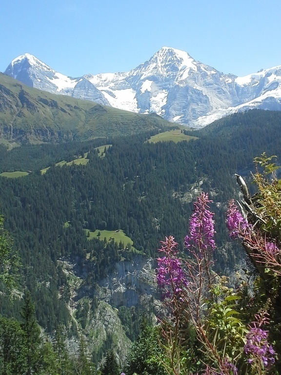 Swiss alps - appprox. 120 km by car
