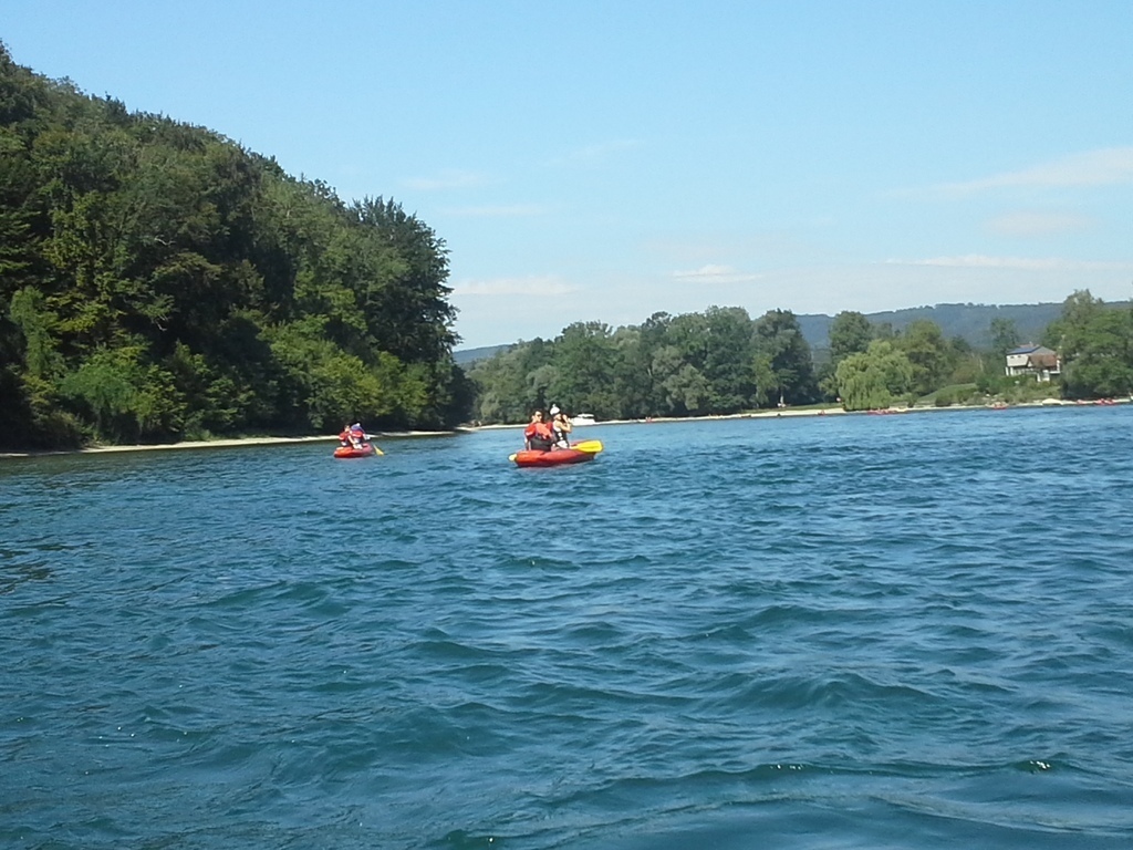River Rhine, 5 min. walk from the house - nice for swimming!  