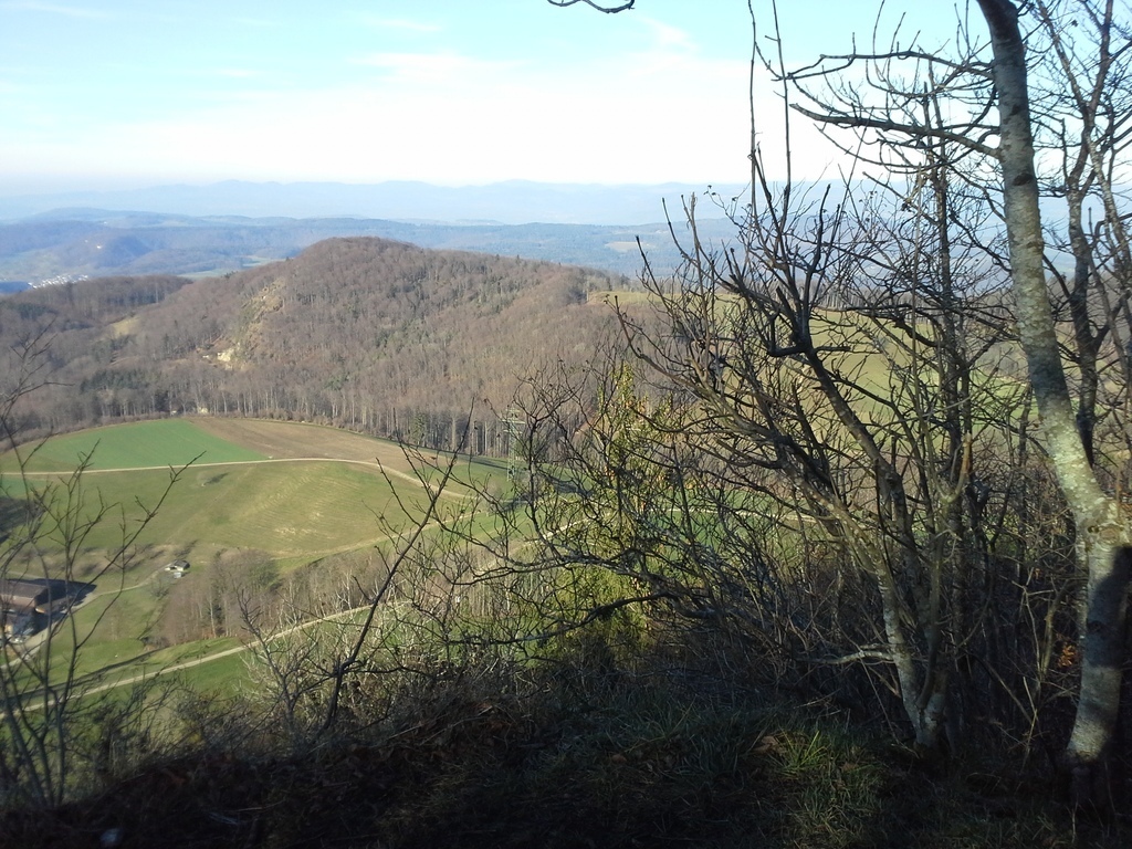 Jura hills in the neighbourhood (nice for hiking)