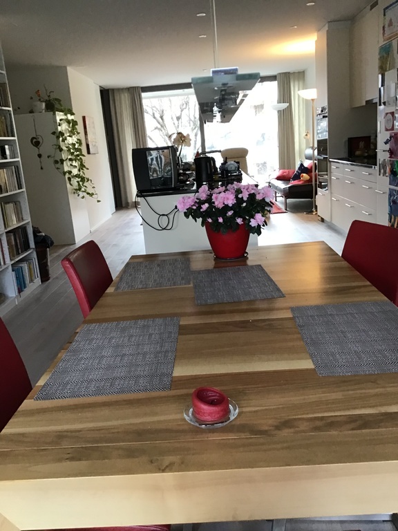 Dining room with open space kitchen