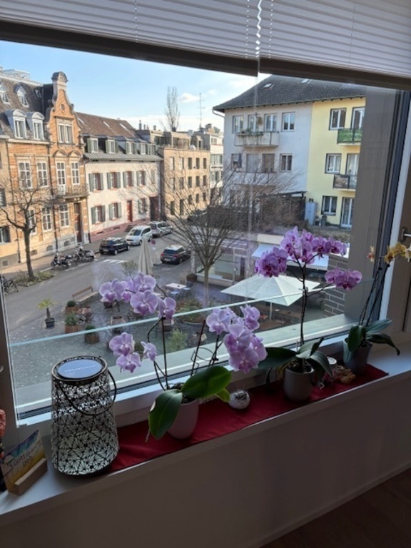 View from dining-room window