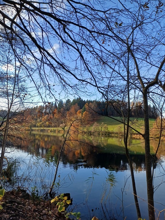 Spaziergang von 15 Minuten zum Rotsee, November 2023