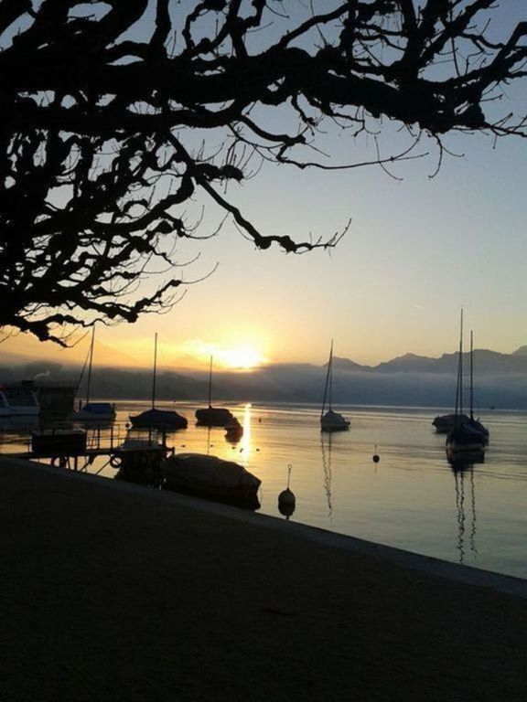 Morgenstimmung am See in Luzern