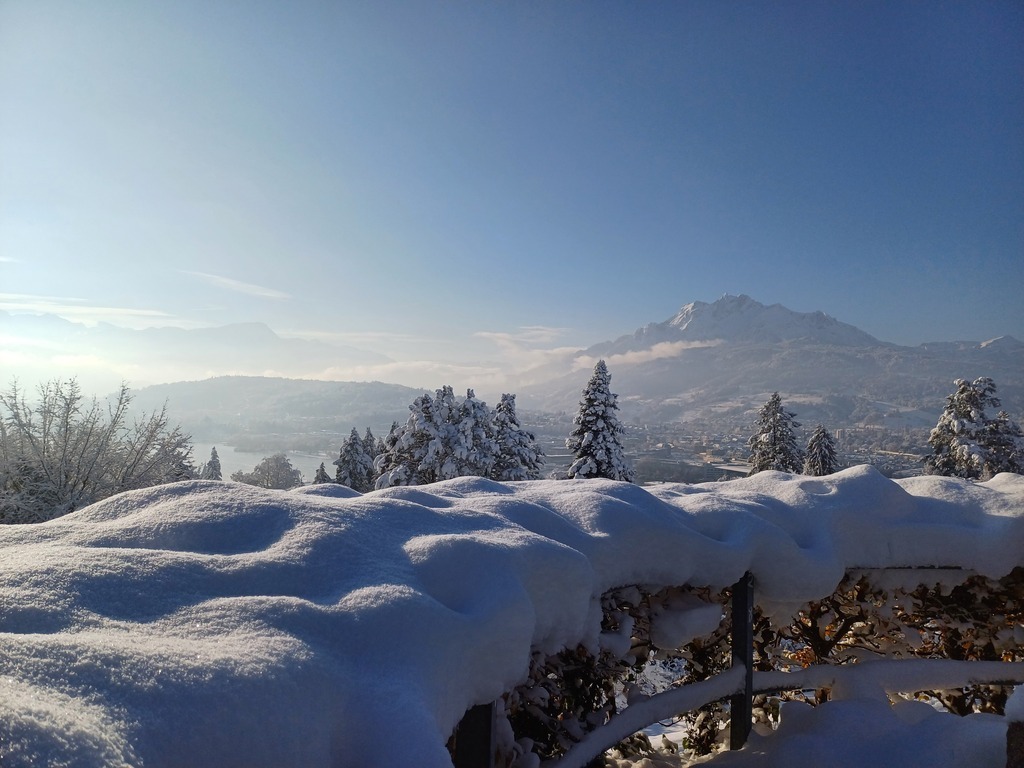 Wintertag mit Neuschnee 3. Dezember 2023 - Park Dreilinden Luzern
