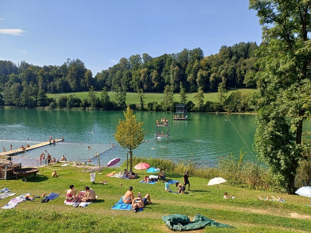 Schwimmen im Rotsee / Swim in the Rotsee, Summer 2024