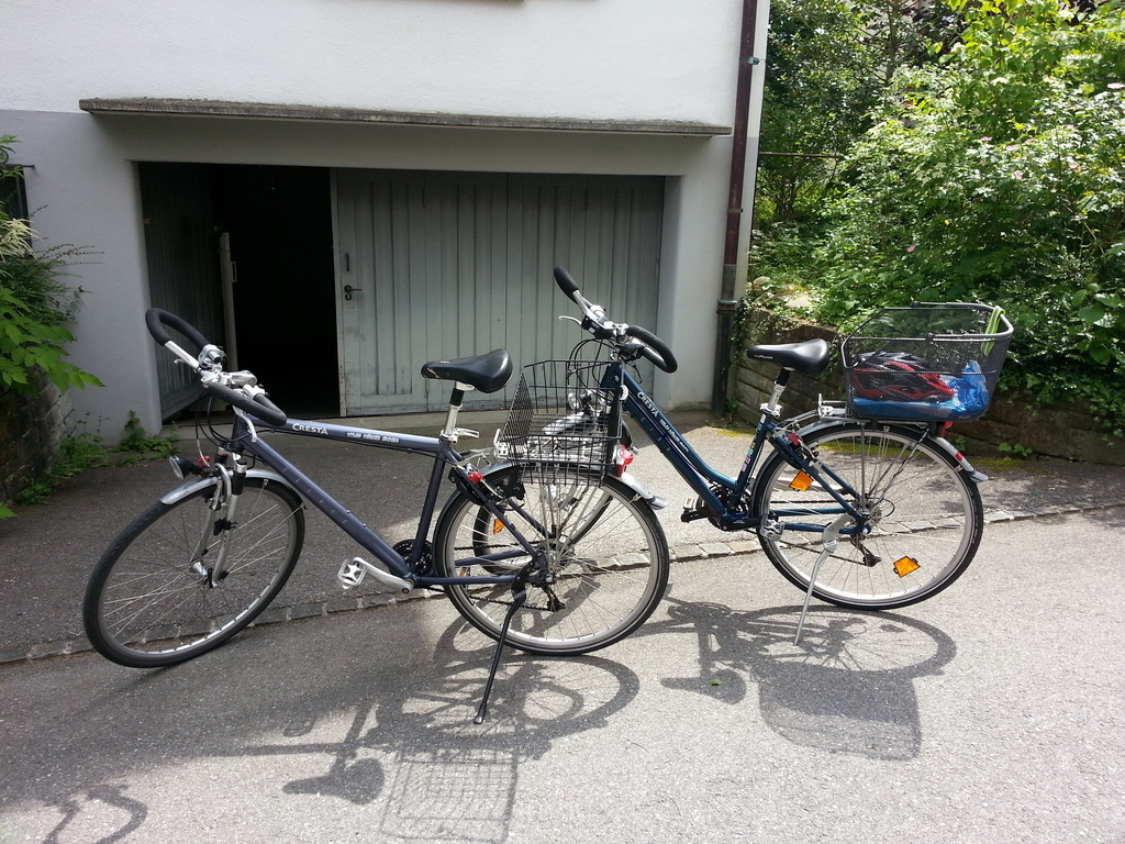 Unsere Fahrräder, die zur Verfügung stehen