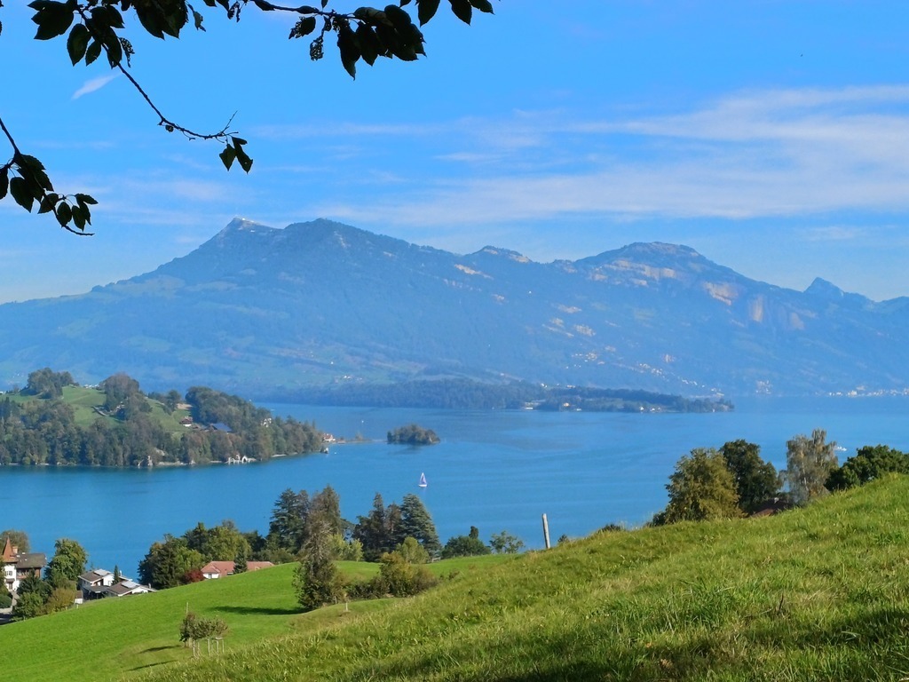 Sicht vom Bireggwald auf Berg Rigi 1 Stunde zu Fuss