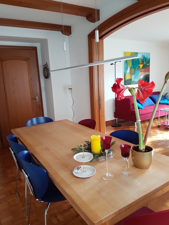 Esstisch mit Blick auf Wohnzimmer / Eatingroom looking to the livingroom
