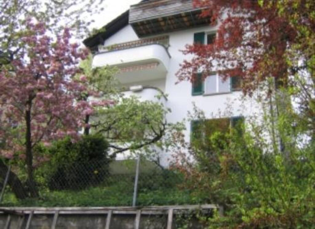 Haus Südseite / House facing south