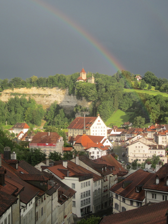 view from kitchen window