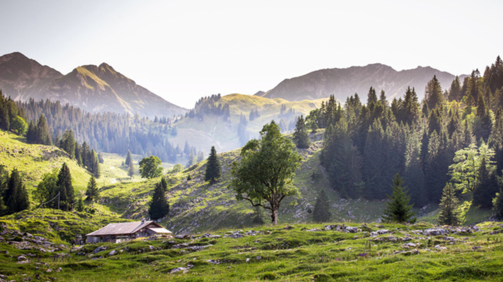 hiking in a valley close to Schwarzsee (20 Min by car)