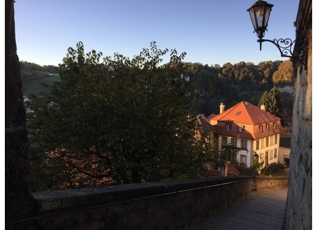 house in morning sun