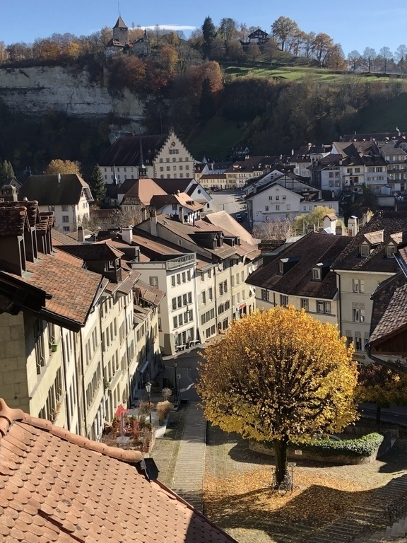 view from the kitchen on a sunny day in november