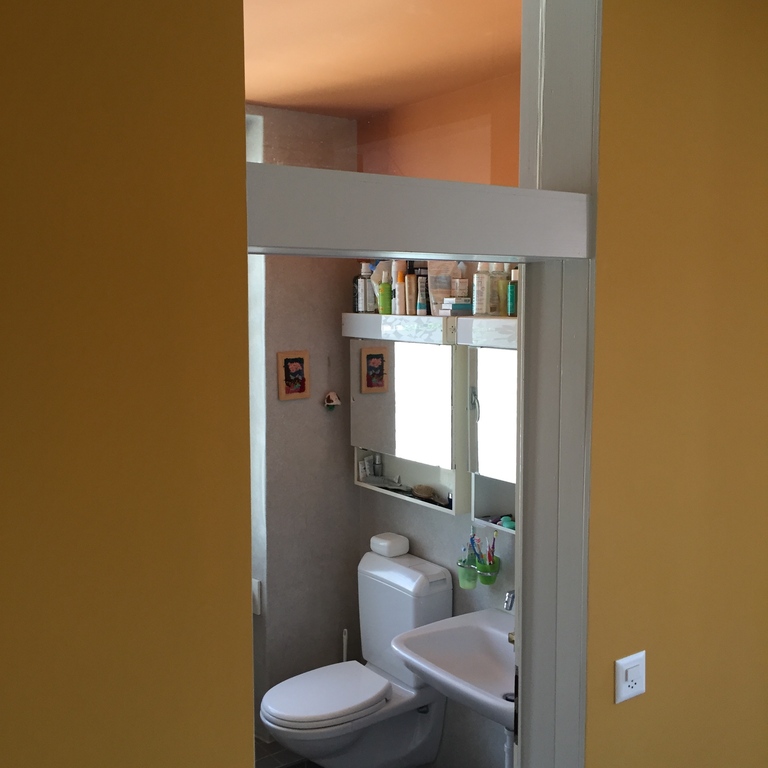 toilet / bath downstairs