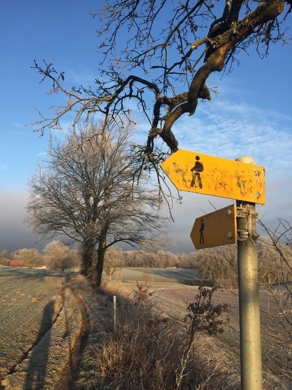 hiking around Fribourg